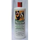 Petastic Stain And Odor Remover For Pets - 32 Oz