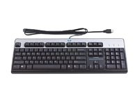 HP Standard Keyboard - Keyboard - USB - silver, carbonite