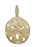 14kt Gold Sand Dollar Charm-PD1589