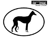 ITALIAN GREYHOUND Oval Bumper Sticker
