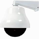 Large Dome Dummy Camera in Outdoor Housing w ith LED Light