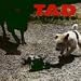 Want to get to know Tad?