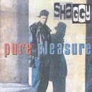 Pure Pleasure [Musikkassette] [UK-Import] - Shaggy