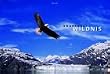 Abenteuer Wildnis 2005