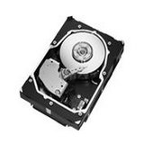 Seagate Cheetah 15K.5 - Hard drive - 300 GB - internal - 3.5 - SAS - 15000 rpm - buffer: 16 MB