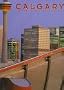 Calgary: Harnessing the Future (Urban Tapestry Series)