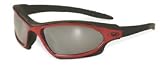 SUNGLASSES GEMINI UV400 EYEWEAR SMOKE LENSES MOTORCYCLE GLASSES