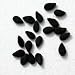 Sesame Seed - Black