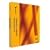 Symantec Endpoint Protection 11.0