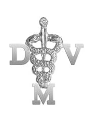 NursingPin - Doctor of Veterinary Medicine DVM Diamond Graduation Pin in Silver