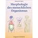 Osteopathie