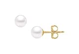 Akoya Cultured Pearl Stud Earrings : 14K Yellow Gold 6 MM