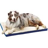 XL KENNEL PAD 2 33X21