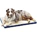 Kitchen & Housewares : MED KENNEL PAD 2" 22X16