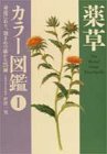 薬草カラー図鑑〈1〉の商品情報を見る