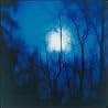 Image of album by Flying Saucer Attack