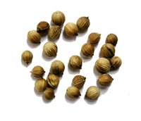 Coriander Seed - Whole by Coriander Seeds