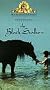 The Black Stallion [VHS]