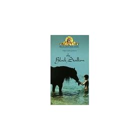The Black Stallion [VHS]