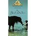 The Black Stallion [VHS]