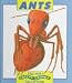 Book Ants (The New Creepy Crawly Collection)
