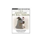 American Pit Bull Terrier
