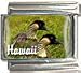 Clearly Charming Hawaii State Bird Nene or Hawaiian Goose Italian Charm Bracelet Link