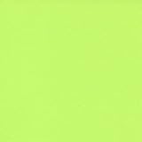 ADP Cardstock 8.5 x 11 - ELECTRIC GREEN Single Sheet