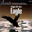 Flight of the Eagle