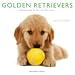 Golden Retrievers 2009 Calendar, 12x12