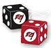 Tampa Bay Buccaneers Fuzzy Dice