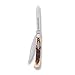 Gerber Legendary Blades 22-41326 Ersatz Stag Trapper Knife
