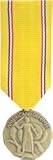 American Defense Service-MINI MEDAL