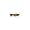 Dark Leopard w/ Polar Brown Lens