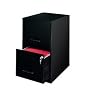 Economical Home Office Two Drawer File - Hirsh Industries - 14341