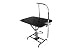 Professional Hydraulic Pet Grooming Table w/ Swivel