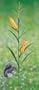 Feeder Window Mixed Seed .5#