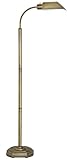 OTT-LITE Alexander Brass Energy Saving Gooseneck Floor Lamp