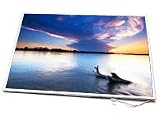 13.3 Inch Au Optronics B133EW01 LCD Screen