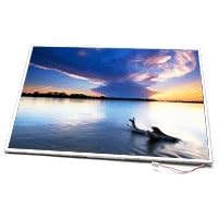 13.3 Inch Au Optronics B133EW01 LCD Screen by Au Optronics