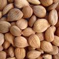 Apricot Seeds/Kernels 1 LBS