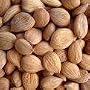 Apricot Seeds/Kernels 1 LBS