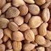 Apricot Seeds/Kernels 1 LBS
