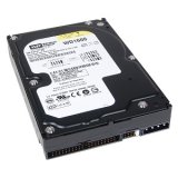 160GB RAID ATA/100 Hard Drive