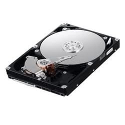 Samsung - SpinPoint HD103UJ F1 Series - 1 TB - 32 MB - SATA