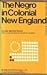 The Negro in Colonial New England
