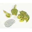 FROG LIFE CYCLE STAGES
