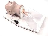 Nasco Airway Larry Managemnt Trainer On Stand Ea - Model Lf03699u