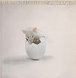 ILLUSIONS ON A DOUBLE DIMPLE LP UK HARVEST 1974