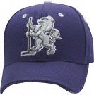 Los Angeles Kings Lion X Dark Purple Fitted Shootout Hat